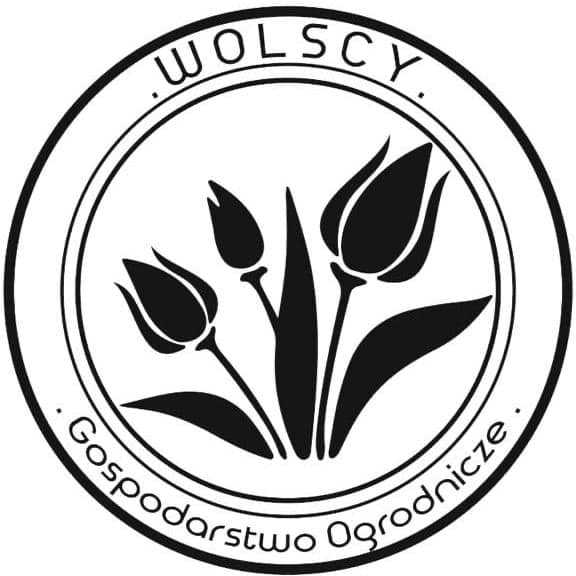 Logo Wolscy Tulipany - partnera DM Robotics.